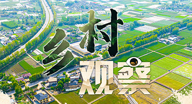 鄉村觀察